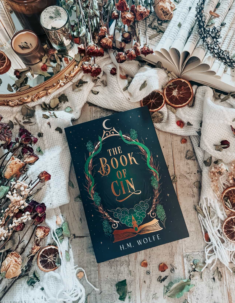 The Book of Cin by H.M. Wolfe | Unplugged Book Box